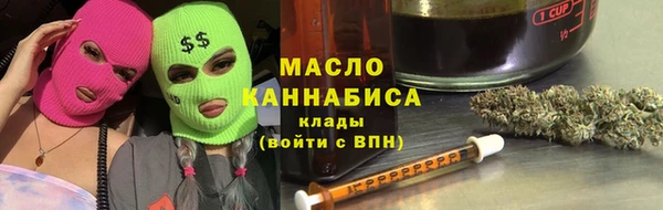 индика Балахна